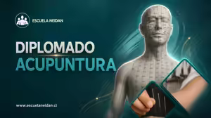 Diplomado Acupuntura – Escuela Neidan