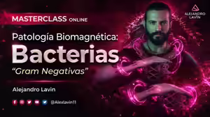 Patología Biomagnética – Bacterias Gram Negativas – Alejandro Lavin