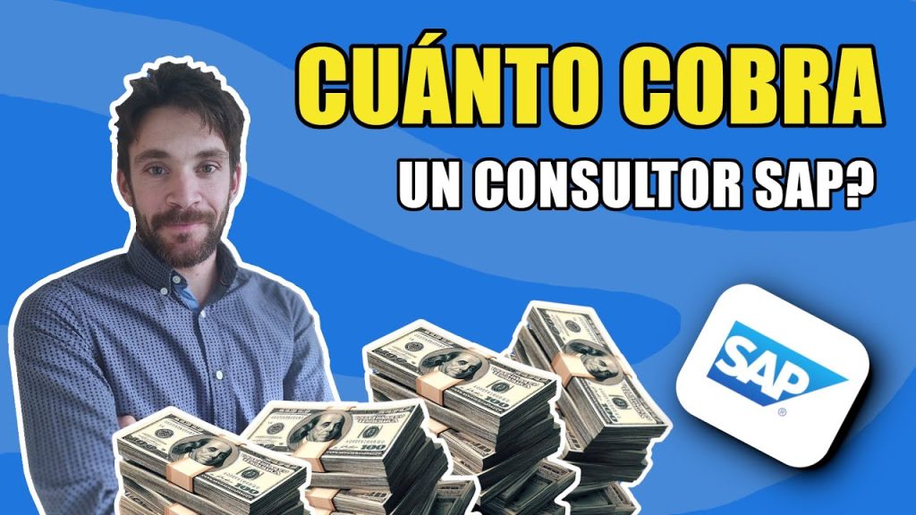 consultor sap finanzas