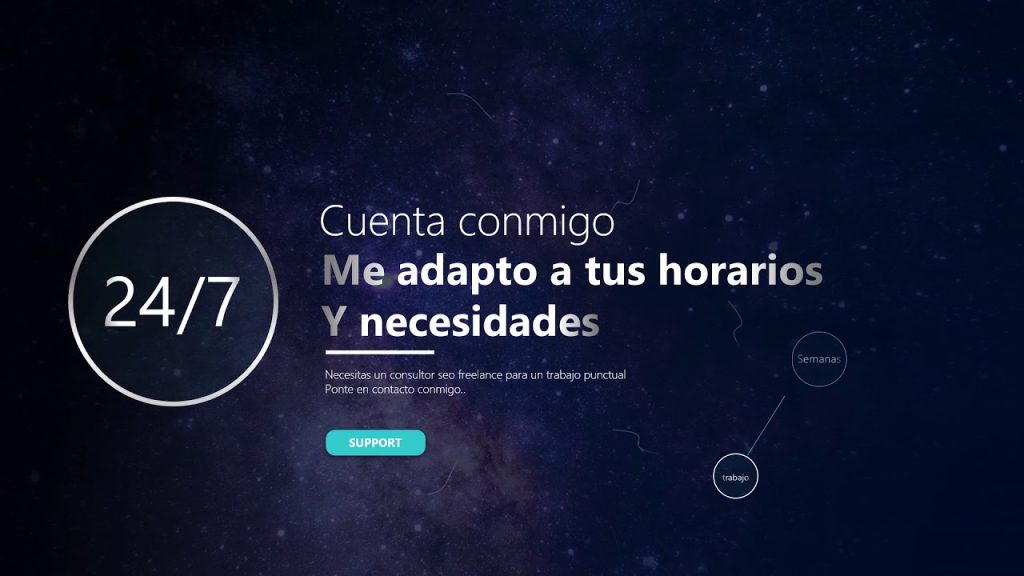 consultor seo castellon