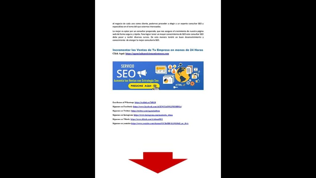 consultor seo local pymes