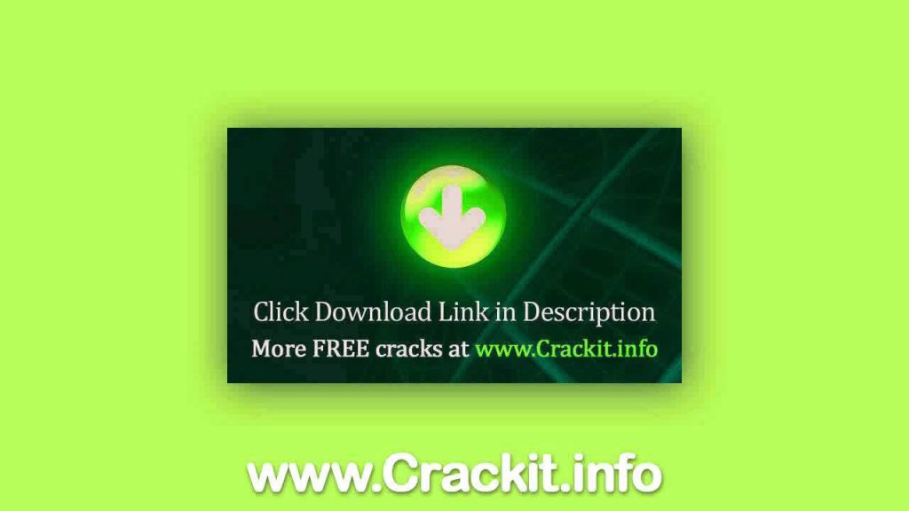 seo torrent