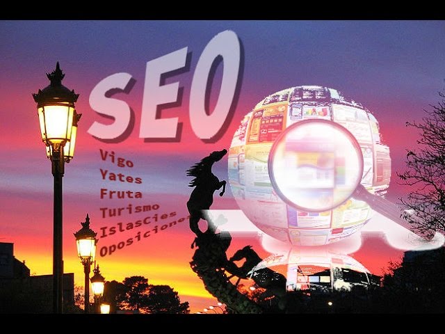 seo vigo