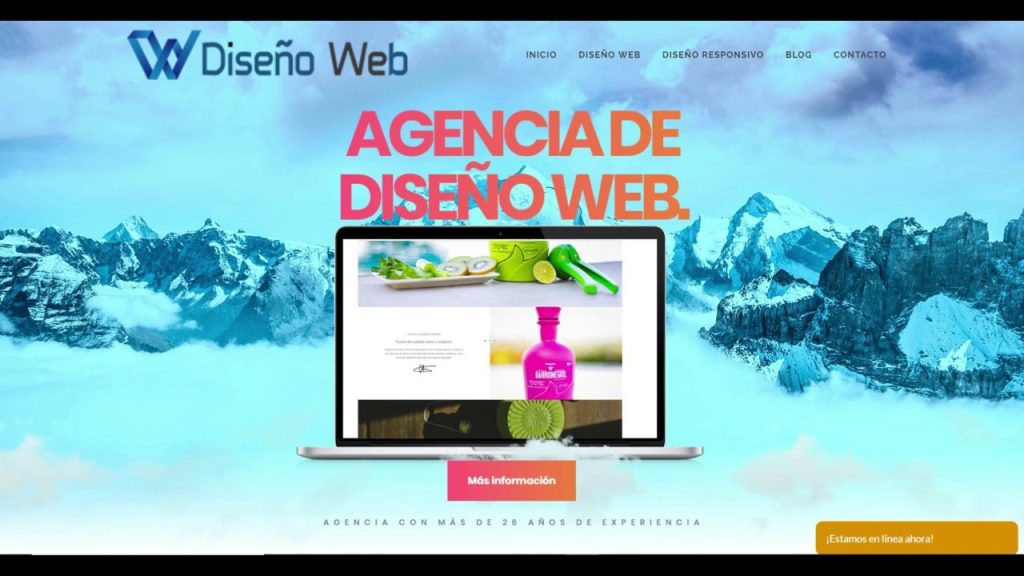 agencia seo guadalajara