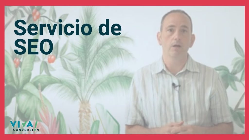 agencia seo ibi