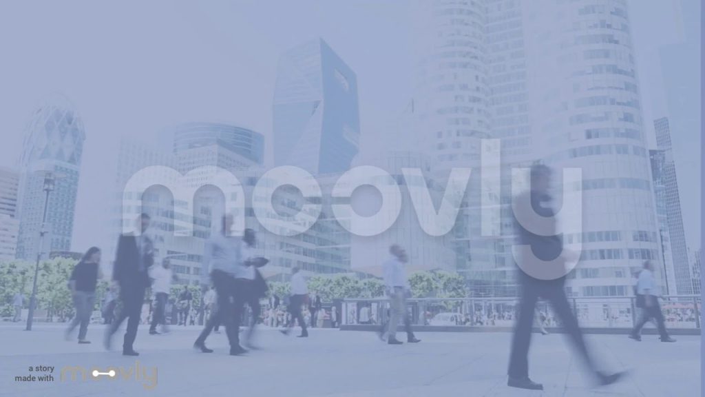 consultor seo en mallorca