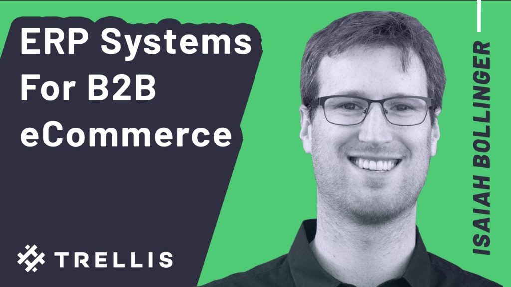 erp ecommerce