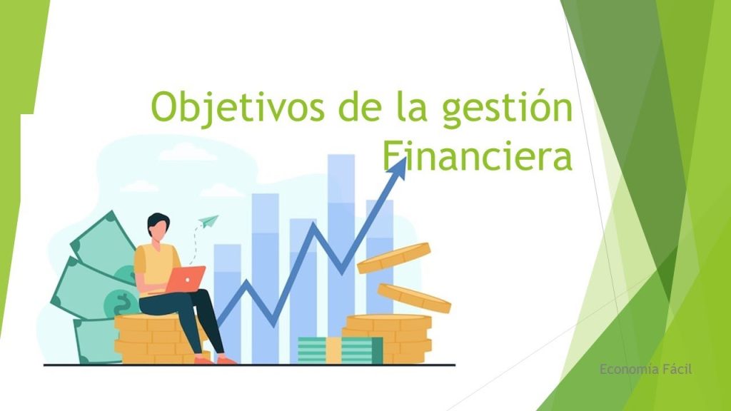 gestion financiera administracion y finanzas