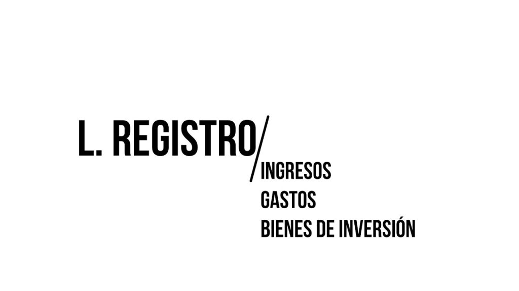 libro registro bienes de inversión excel