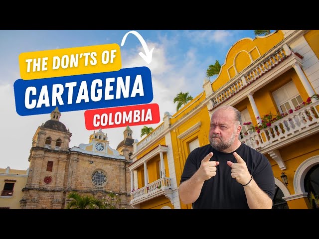 seo cartagena