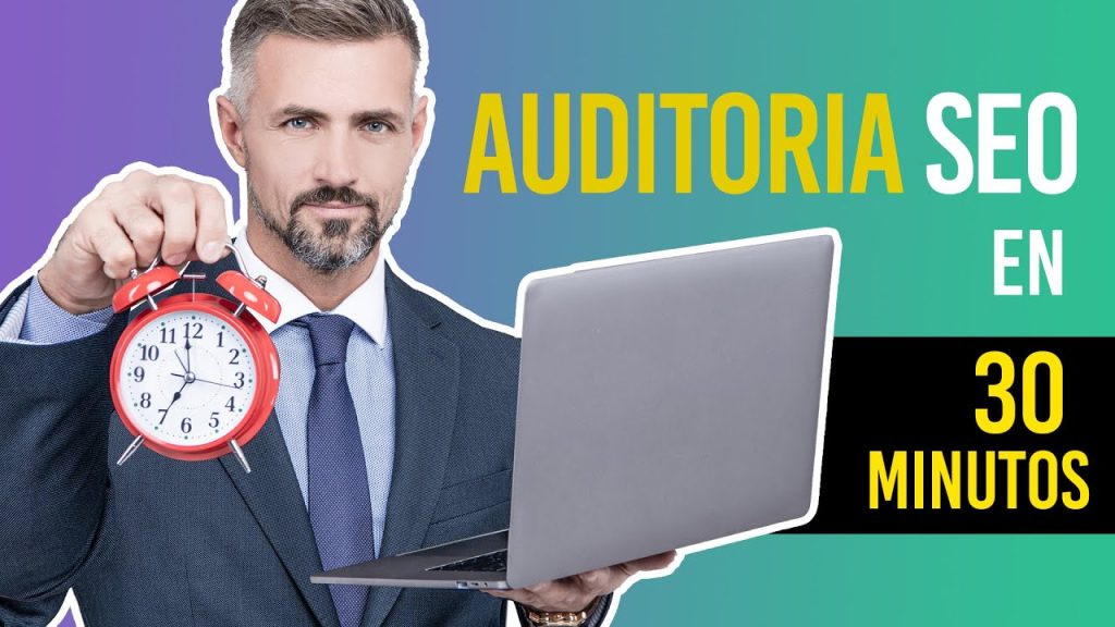 servicio auditoria seo