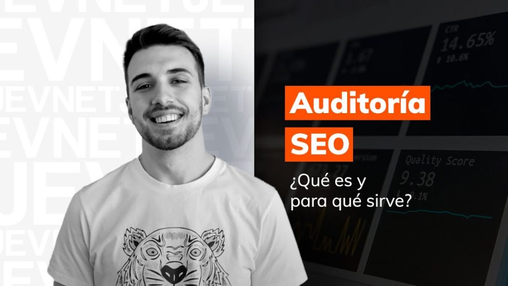 servicio de auditoria seo