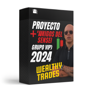 Proyecto Sensei 2.0 + Amigos del Sensei (Grupo VIP) 2024