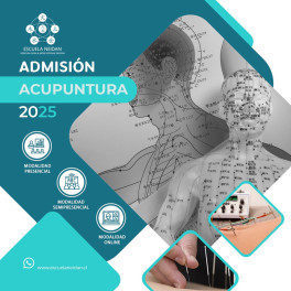 Diplomado Acupuntura Diplomado Acupuntura