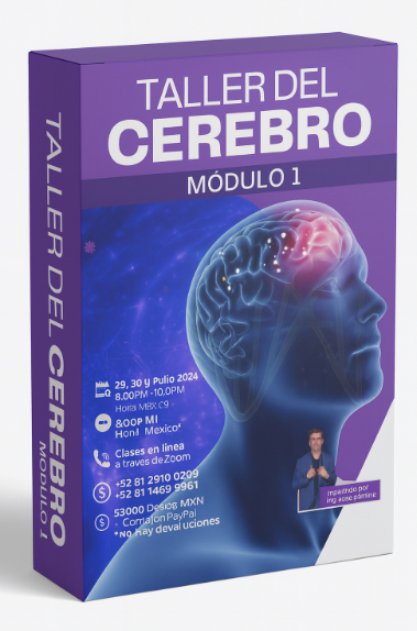 Taller del Cerebro Módulo 1 - José Palomo