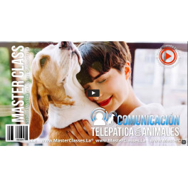 Comunicación telepática con animales Comunicación telepática con animales