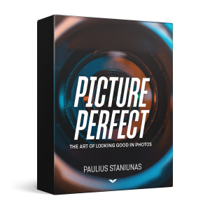 Picture Perfect (Inglés) - Paulius Staniunas