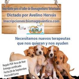 Taller Biomagnetismo Veterinario Taller Biomagnetismo Veterinario
