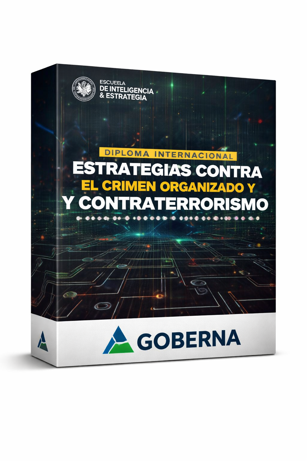 Estrategias Contra el Crimen Organizado y Contraterrorismo - Goberna
