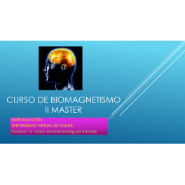 Curso de Biomagnetismo Master Curso de Biomagnetismo Master