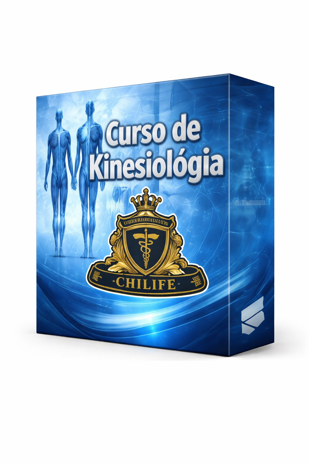 Curso de Kinesiología - Universidad de Chilife